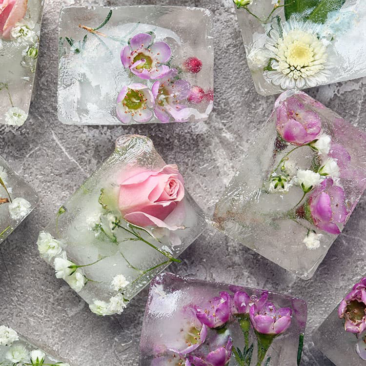 hielos-flores-adobe