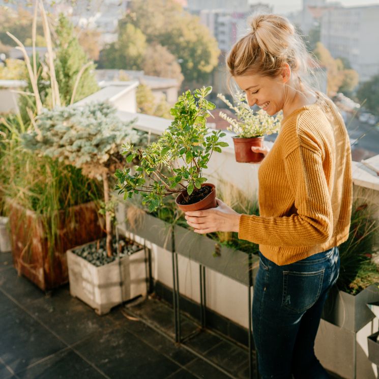 Mujer cuidando plantas de exterior